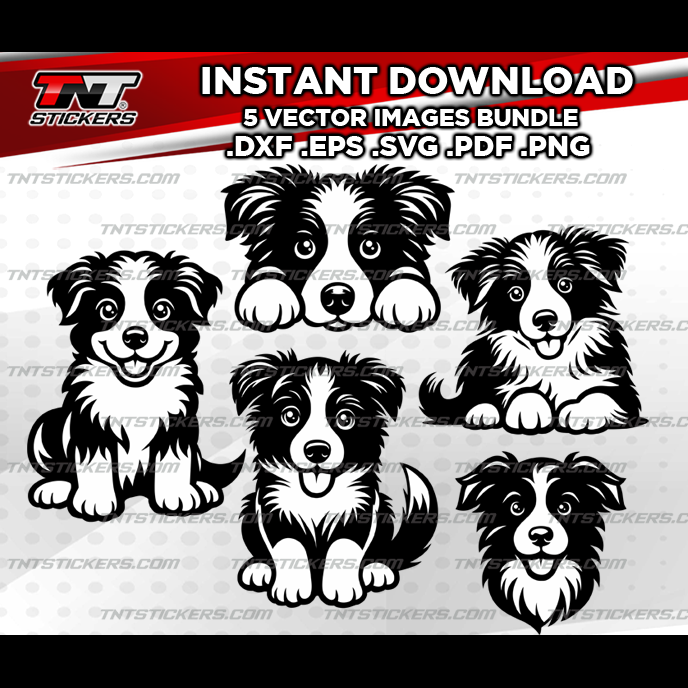 Border Collie Puppies Dog VECTOR FILE BUNDLE | svg | eps | png | pdf | dxf