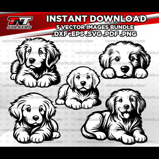 Golden Retriever Puppies Dog VECTOR FILE BUNDLE | svg | eps | png | pdf | dxf
