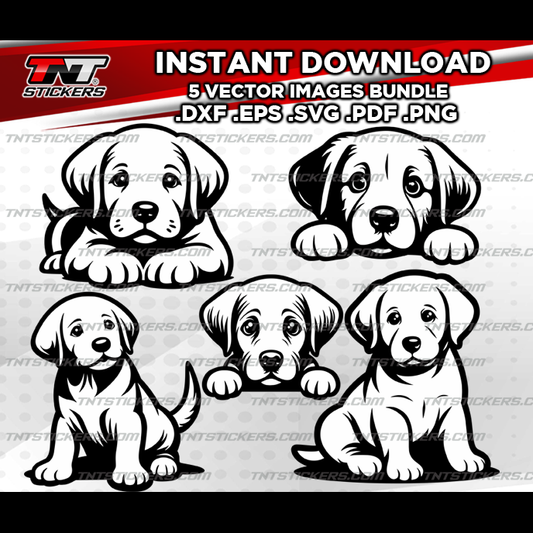Labrador Retriever Puppies Dog VECTOR FILE BUNDLE | svg | eps | png | pdf | dxf