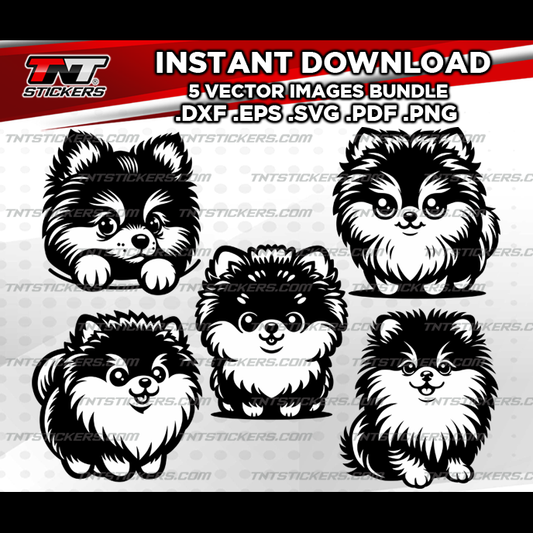 Pomeranian Puppies Dog VECTOR FILE BUNDLE | svg | eps | png | pdf | dxf